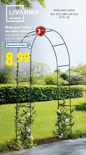 Arche Rosier Lidl